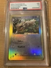 Zigzagoon