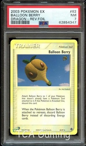 Balloon Berry
