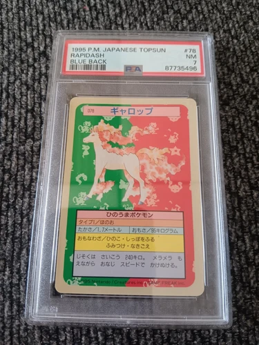 Rapidash