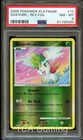 Shaymin