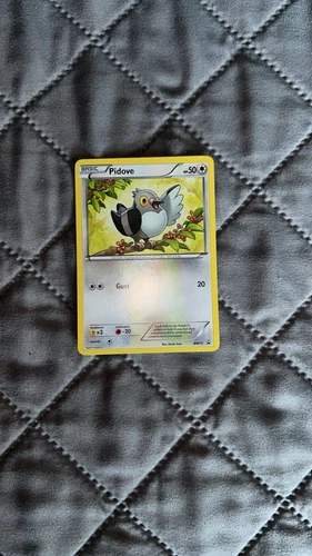 Pidove