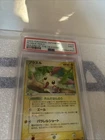 Ninjask