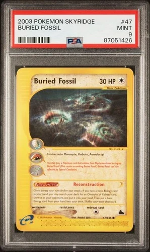 Buried Fossil