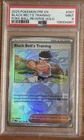 Black Belt's Training