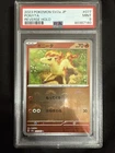 Ponyta