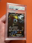 Entei V