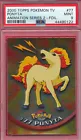 Ponyta