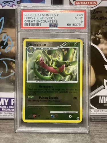 Grovyle