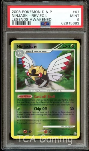 Ninjask