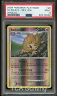 Raticate