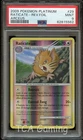 Raticate