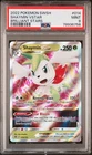 Shaymin VSTAR