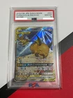 Raichu GX