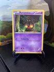 Pumpkaboo