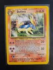 Ponyta