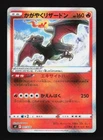 Charizard Battle
