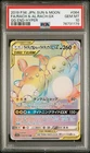 Raichu & Alolan Raichu Tag Team GX