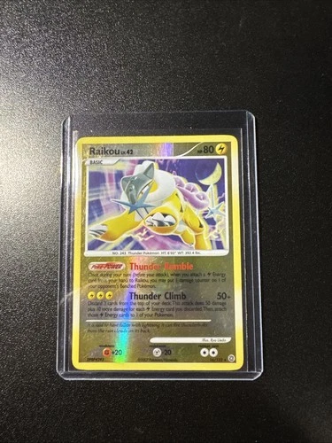 Raikou