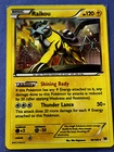 Raikou