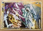 Raikou & Suicune Legend
