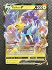 Raikou V