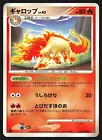 Rapidash