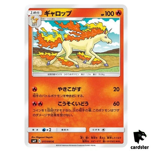 Rapidash
