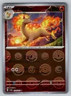 Rapidash