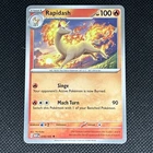 Rapidash