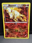 Rapidash