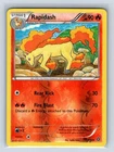 Rapidash