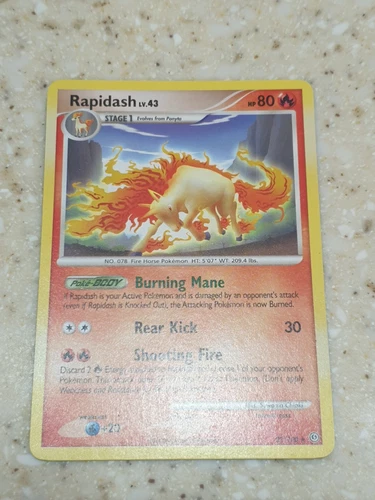 Rapidash