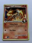 Rapidash