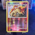 Rapidash