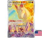Pokemon Catcher