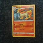 Rapidash