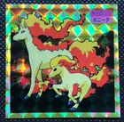 Ponyta, Rapidash