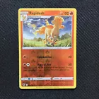 Rapidash