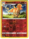 Rapidash