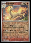 Rapidash