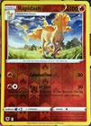 Rapidash