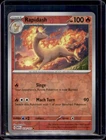 Rapidash