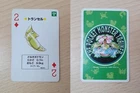 Venusaur EX