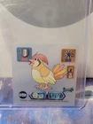 Pidgeot