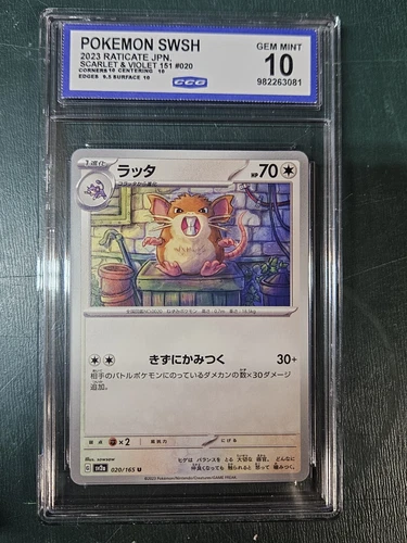 Raticate