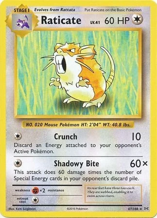 Raticate