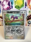 Rattata