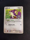Rattata