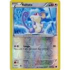 Rattata