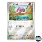 Rattata